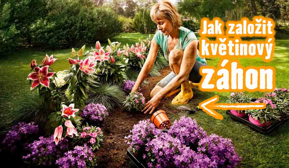 Návod: Jak založit květinový záhon
