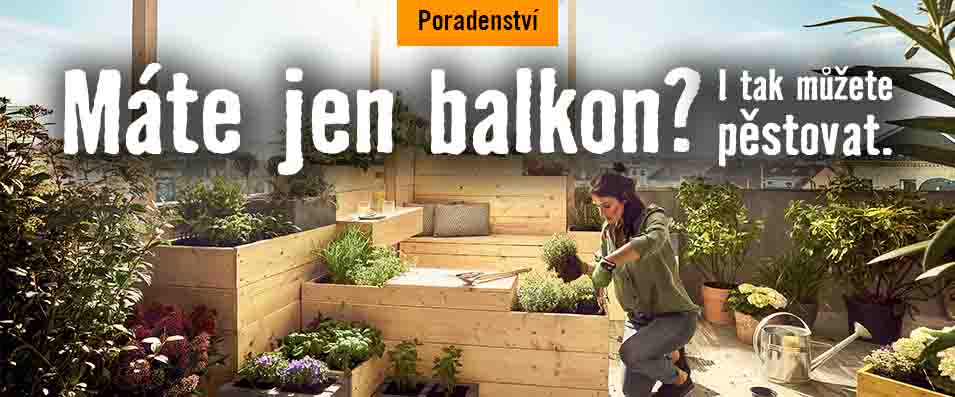 Urban gardening, zahrádka z europalet a městské zahradničení v kostce