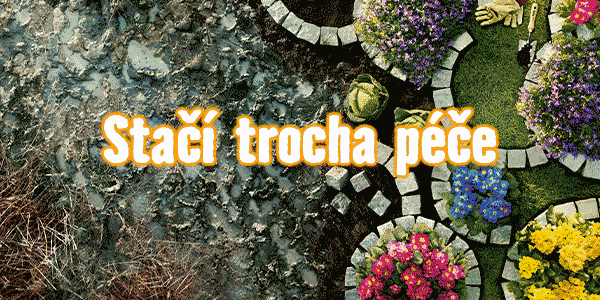 VÁŠ DALŠÍ PROJEKT