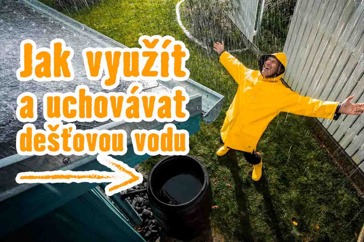 Poradenství: Jak využít a uchovávat dešťovou vodu