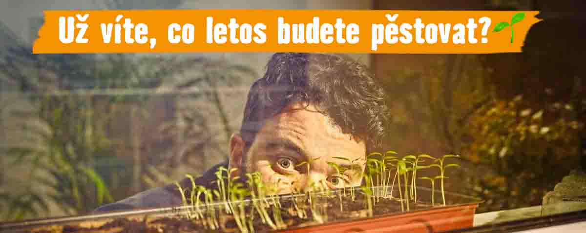 Už víte, co letos budete pěstovat?