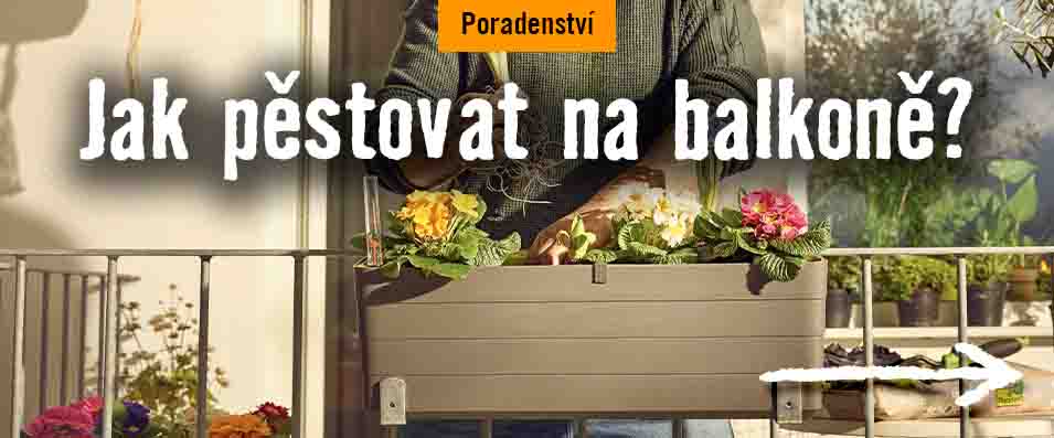 7 tipů, jak pěstovat na balkóně