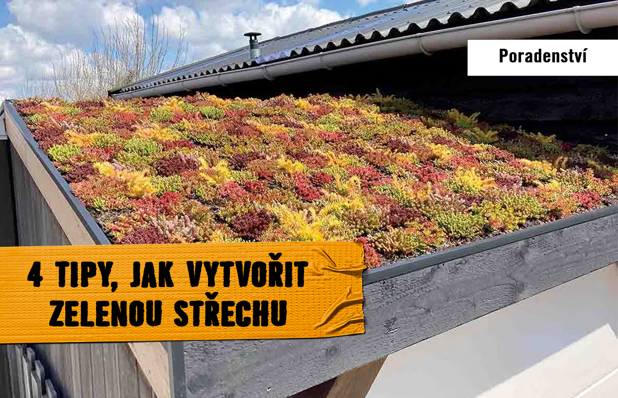 4 tipy, jak vytvořit zelenou střechu