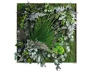 Obraz z rostlin styleGREEN Džungle 80x80 cm