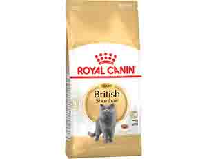 Obrázek - Granule pro kočky ROYAL CANIN