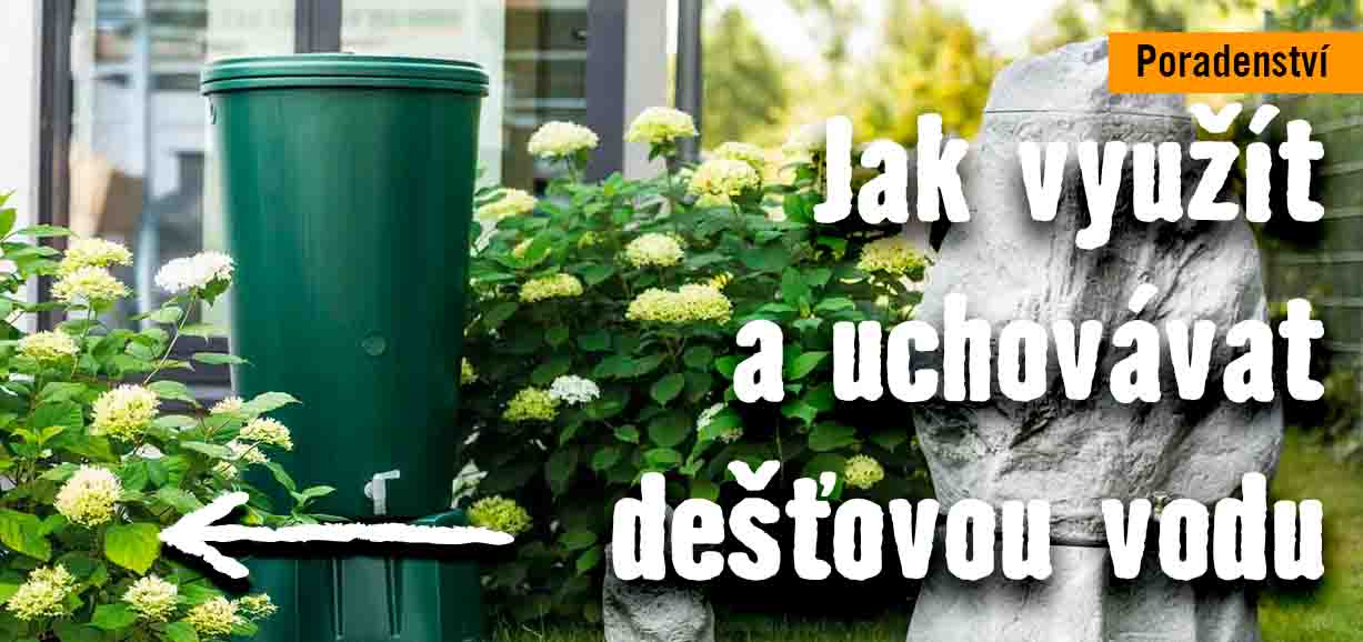 5 tipů, jak využít a uchovávat dešťovou vodu