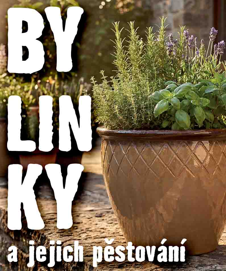 Jak pěstovat bylinky a založit bylinkovou zahrádku