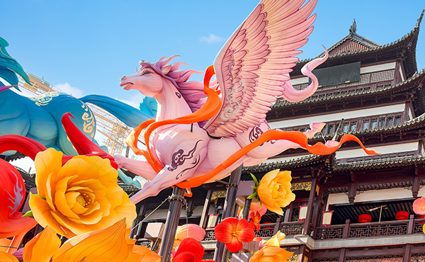 Wizz Air Banner Image