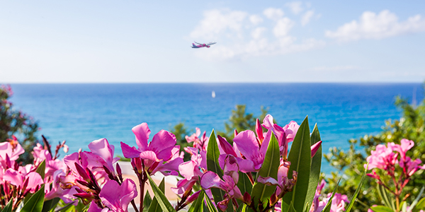 Wizzair